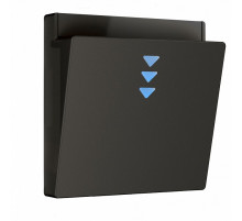 Накладка для электронного карточного выключателя Werkel 4690389190292 W1163108 a062006