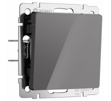 Выключатель одноклавишный Werkel 4690389197406 W1110044 a064074