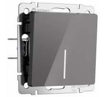 Выключатель одноклавишный проходной с подсветкой Werkel 4690389197437 W1112144 a064080