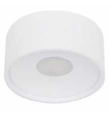 Накладной светильник Wertmark WTA.O01.007.30.12