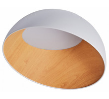 Потолочный светильник Zortes Baum ZRS.01201.19