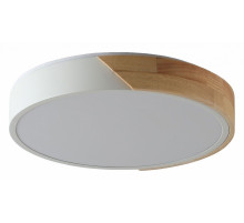 Потолочный светильник Zortes Alberro ZRS.01239.90