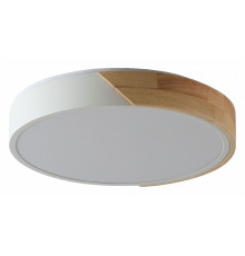 Потолочный светильник Zortes Alberro ZRS.01239.90