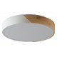 Потолочный светильник Zortes Alberro ZRS.01239.90