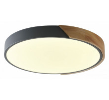 Потолочный светильник Zortes Alberro ZRS.01280.90