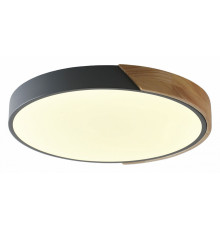Потолочный светильник Zortes Alberro ZRS.01280.90