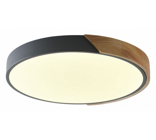 Потолочный светильник Zortes Alberro ZRS.01280.90 Потолочный светильник Zortes Alberro ZRS.01280.90