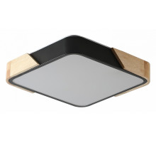 Потолочный светильник Zortes Alberro ZRS.01281.48