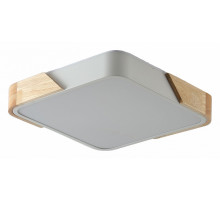 Потолочный светильник Zortes Alberro ZRS.01285.48