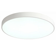 Потолочный светильник Zortes Tortty ZRS.02564.96