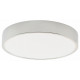 Потолочный светильник Zortes Tortty ZRS.02565.36