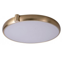 Потолочный светильник Zortes Gimpel ZRS.1209.18