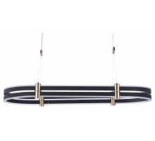 Подвесная люстра Zortes Duble-R ZRS.30505.92