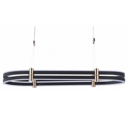 Подвесная люстра Zortes Duble-R ZRS.30505.92