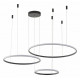 Подвесная люстра Zortes Ringolight ZRS.33320.120F
