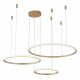 Подвесная люстра Zortes Ringolight ZRS.33325.75F