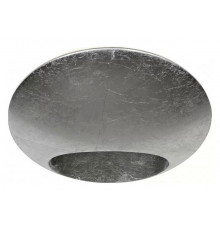 Настенный светодиодный светильник iLedex Light Flux ZD8152-6W Silver