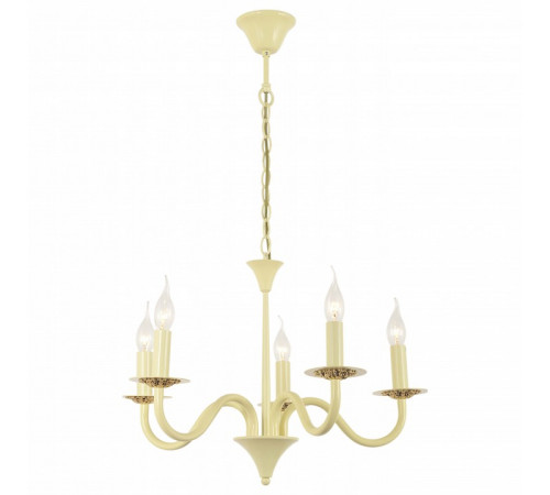 Подвесная люстра Arti Lampadari Pontone E 1.1.5 C