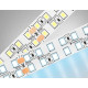 Светодиодная лента двухрядная Ambrella Light LED Strip 24В 2835 24Вт/м 6500K 5м IP20 GS3703