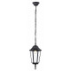 Уличный подвесной светильник Ambrella Light Garden ST2029