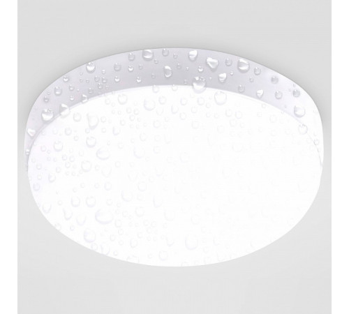 Уличный потолочный светильник Ambrella Light Street ST8624 Уличный потолочный светильник Ambrella Light Street ST8624