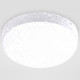 Уличный потолочный светильник Ambrella Light Street ST8624
