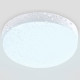 Уличный потолочный светильник Ambrella Light Street ST8626