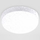 Уличный потолочный светильник Ambrella Light Street ST8631