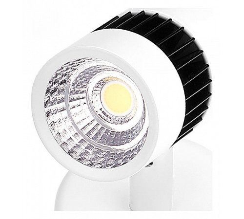 Накладной светильник Ambrella Light TN101/5W WH/BK