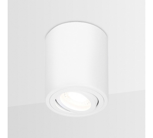 Потолочный светильник Ambrella Light Techno Spot TN225 Потолочный светильник Ambrella Light Techno Spot TN225