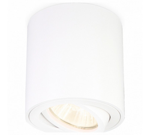 Накладной светильник Ambrella Light Techno Spot TN22701 Накладной светильник Ambrella Light Techno Spot TN22701