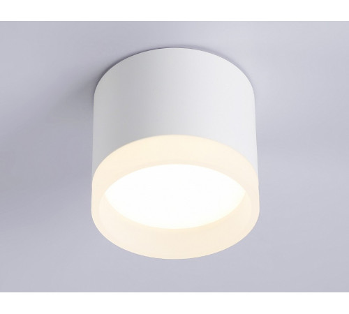 Накладной светильник Ambrella Light Acrylic Frost TN5365 Накладной светильник Ambrella Light Acrylic Frost TN5365