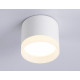 Накладной светильник Ambrella Light Acrylic Frost TN5365