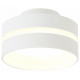 Накладной светильник Ambrella Light Techno TN5419