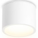 Накладной светильник Ambrella Light IP Protect TN6550