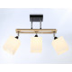 Люстра на штанге Ambrella Light Modern TR9507 УЦ