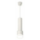 Подвесной светильник Ambrella Light Techno spot (A2301, C6355, A2101, C8110, N8399) XP8110009