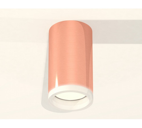 Потолочный светильник Ambrella Light Techno Spot XS6326020 (C6326, N6245)