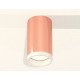Потолочный светильник Ambrella Light Techno Spot XS6326020 (C6326, N6245)