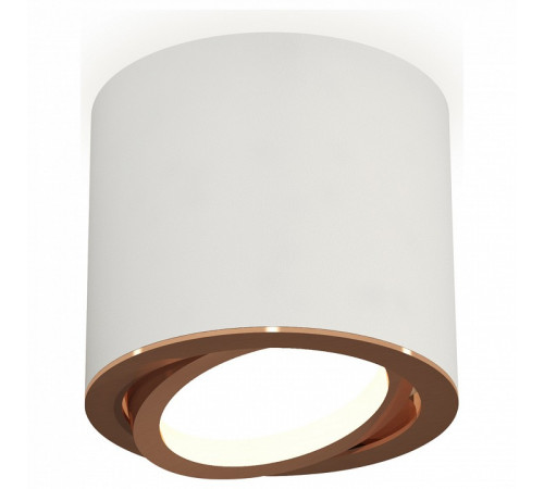 Накладной поворотный светильник Ambrella Light Techno XS7401005 (C7401, N7005) Накладной поворотный светильник Ambrella Light Techno XS7401005 (C7401, N7005)