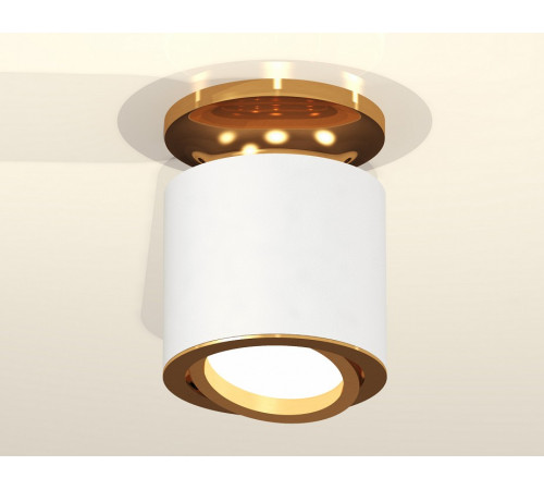 Накладной поворотный светильник Ambrella Light Techno XS7401120 (N7929, C7401, N7004) Накладной поворотный светильник Ambrella Light Techno XS7401120 (N7929, C7401, N7004)