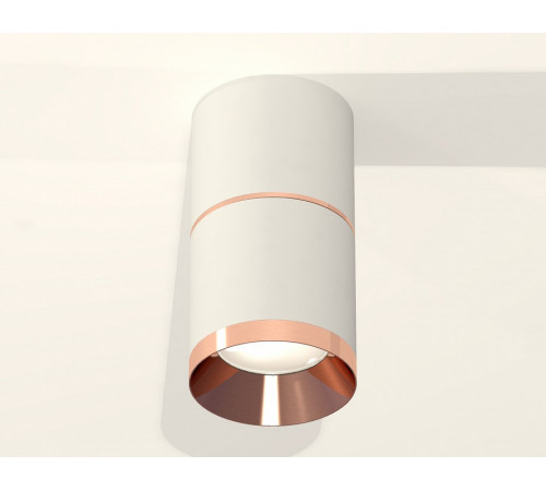 Потолочный светильник Ambrella Light Techno Spot XS7401221 (C7401, A2073, C7401, N7035) Потолочный светильник Ambrella Light Techno Spot XS7401221 (C7401, A2073, C7401, N7035)