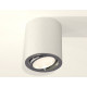 Потолочный светильник Ambrella Light Techno Spot XS7421002 (C7421, N7003)