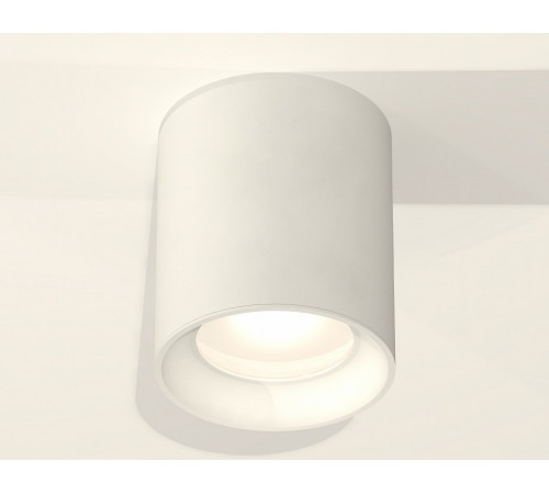 Потолочный светильник Ambrella Light Techno Spot XS7421010 (C7421, N7020) Потолочный светильник Ambrella Light Techno Spot XS7421010 (C7421, N7020)
