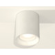Потолочный светильник Ambrella Light Techno Spot XS7421010 (C7421, N7020)