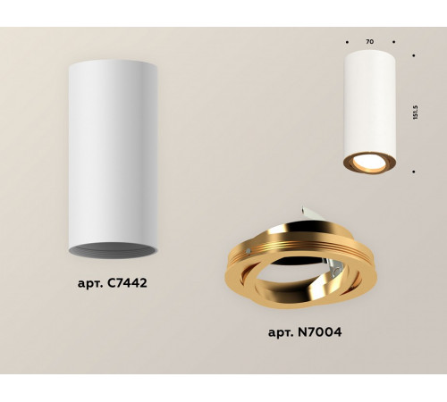 Накладной поворотный светильник Ambrella Light Techno XS7442004 (C7442, N7004)
