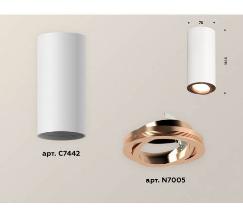 Накладной поворотный светильник Ambrella Light Techno XS7442005 (C7442, N7005)