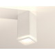 Потолочный светильник Ambrella Light Techno Spot XS7820020 (C7820, N7750)