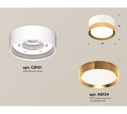 Потолочный светильник Ambrella Light Techno Spot XS8101005 (C8101, N8124)