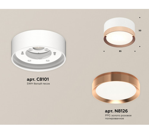 Потолочный светильник Ambrella Light Techno Spot XS8101006 (C8101, N8126)